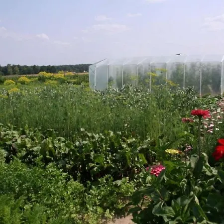 Agroturystyka Pod Modrzewiem Baltow Exterior photo