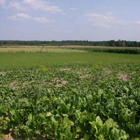 Agroturystyka Pod Modrzewiem Baltow Exterior photo
