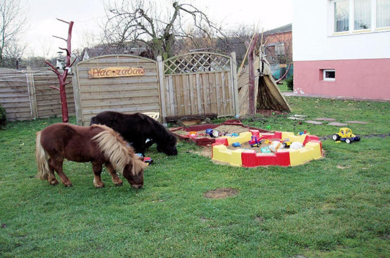 Farm stay Pod Modrzewiem
